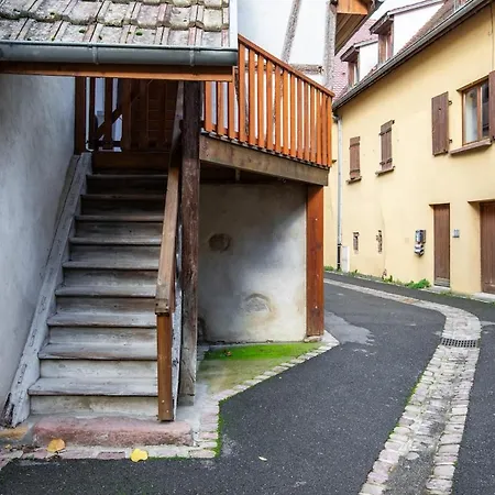 Nouveau - Lalcove Du Schauenberg A 15Mn De Colmar Apartman