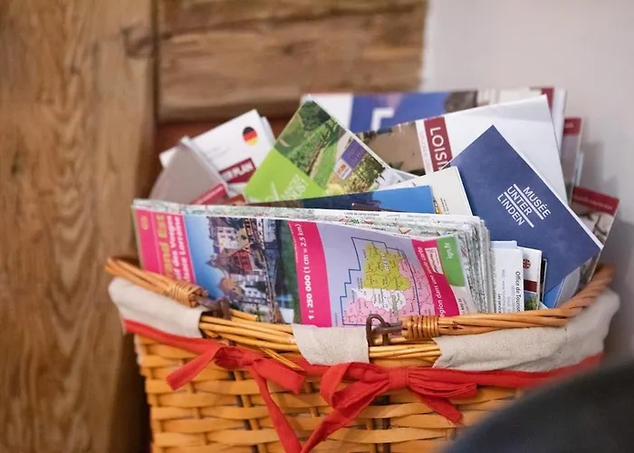 Apartment Nouveau - Lalcove Du Schauenberg A 15mn De Colmar *