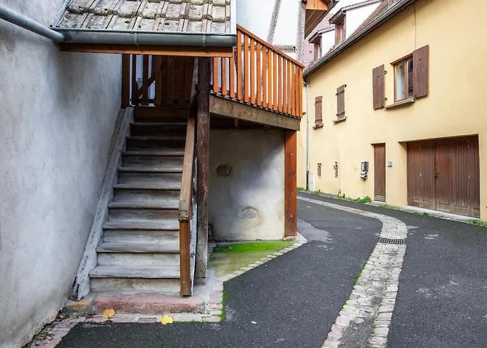 Nouveau - Lalcove Du Schauenberg A 15mn De Colmar Apartment
