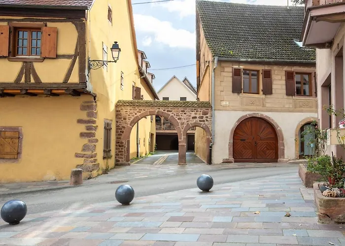 Apartment Nouveau - Lalcove Du Schauenberg A 15mn De Colmar